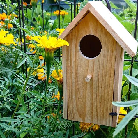 metal bird nesting boxes|nesting boxes for australian birds.